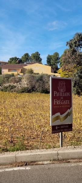 Taxi van aéroport Marseille ou gare Saint Charles vers Le Frégate